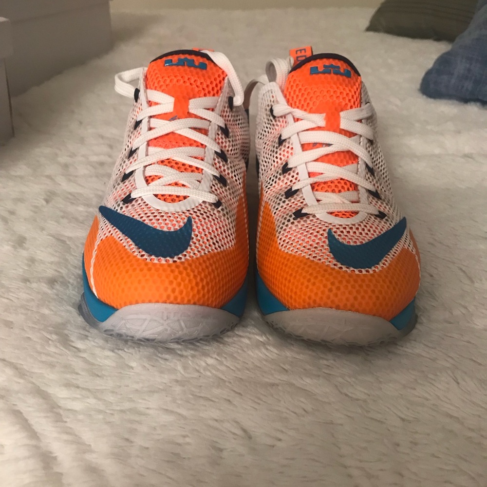 Nike Lebron 5.5